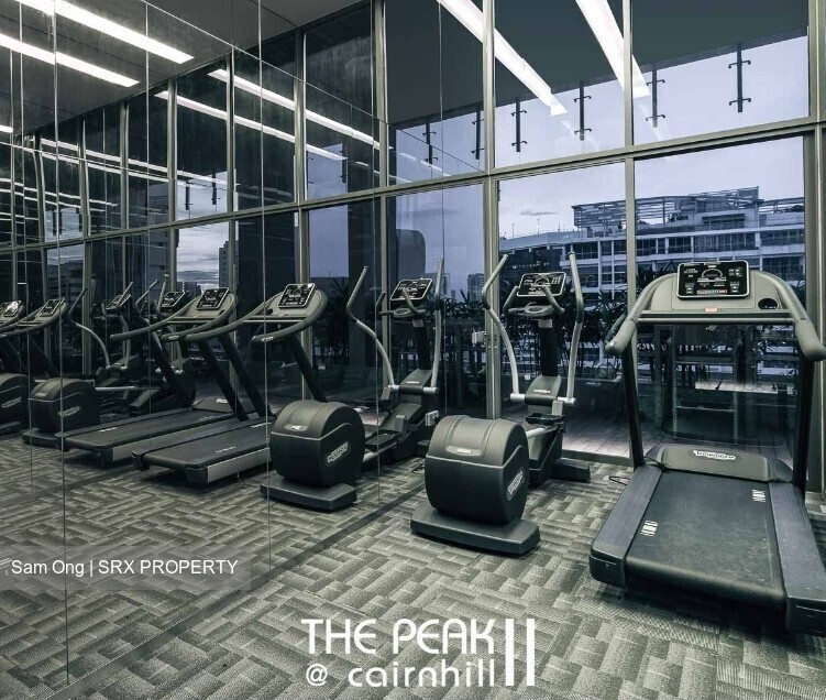 The Peak @ Cairnhill II (D9), Apartment #315438421